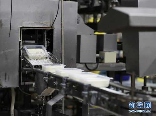 探访进博会参展商 韩国绿色食品企业圃美多的豆腐工厂
